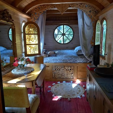 La Roulotte Du Petit Paradis Saint-Rémy-de-Provence المظهر الخارجي الصورة