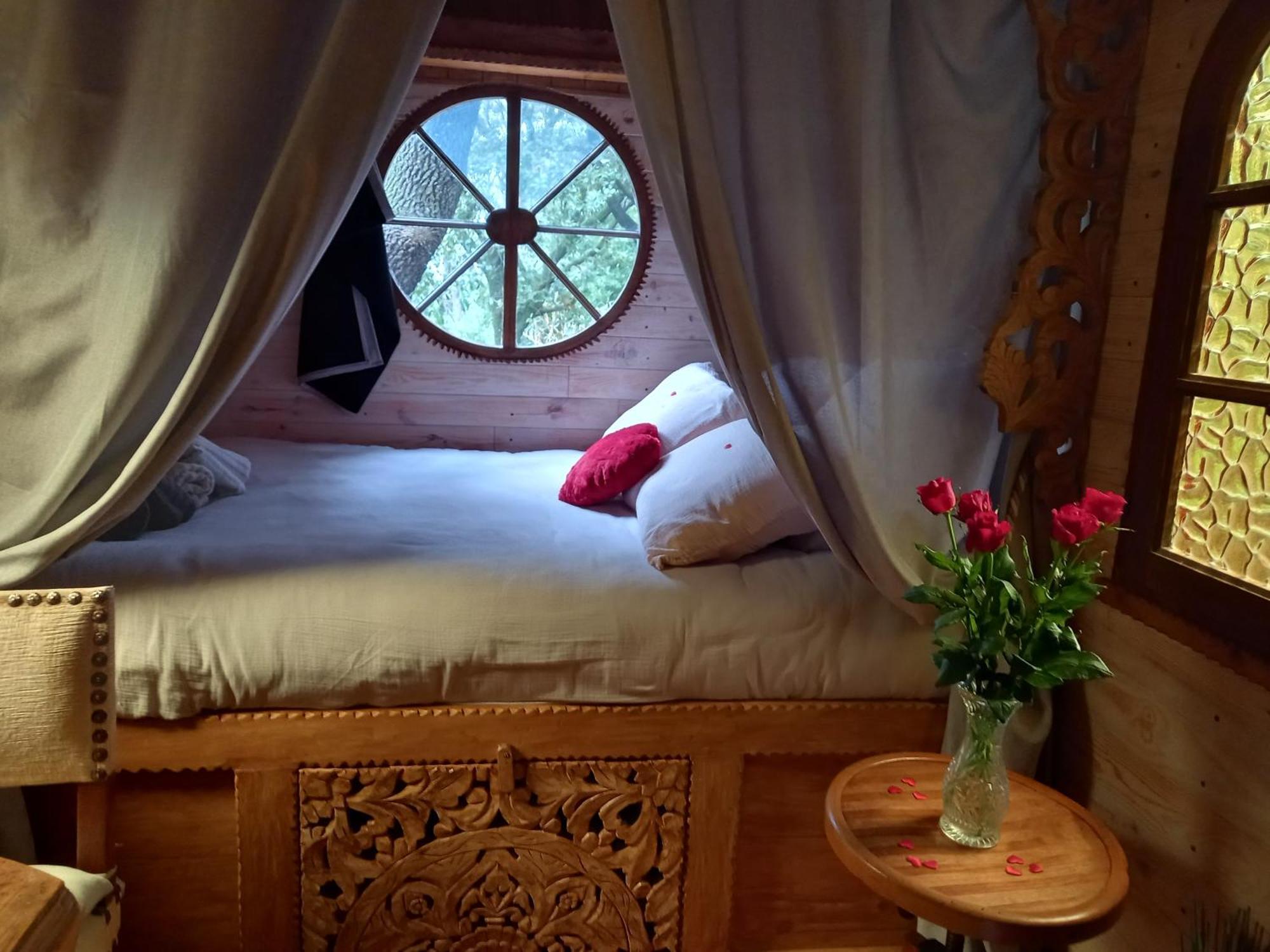 La Roulotte Du Petit Paradis Saint-Rémy-de-Provence المظهر الخارجي الصورة