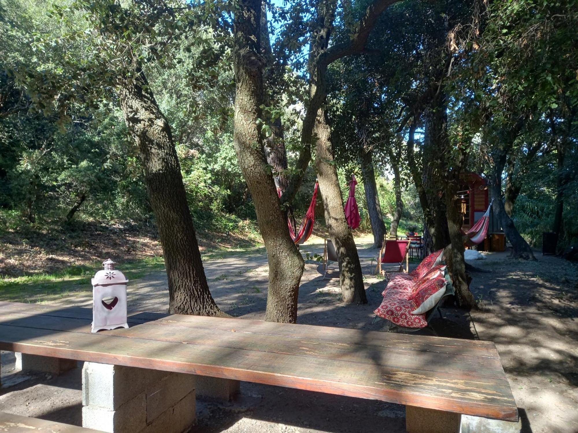 La Roulotte Du Petit Paradis Saint-Rémy-de-Provence المظهر الخارجي الصورة