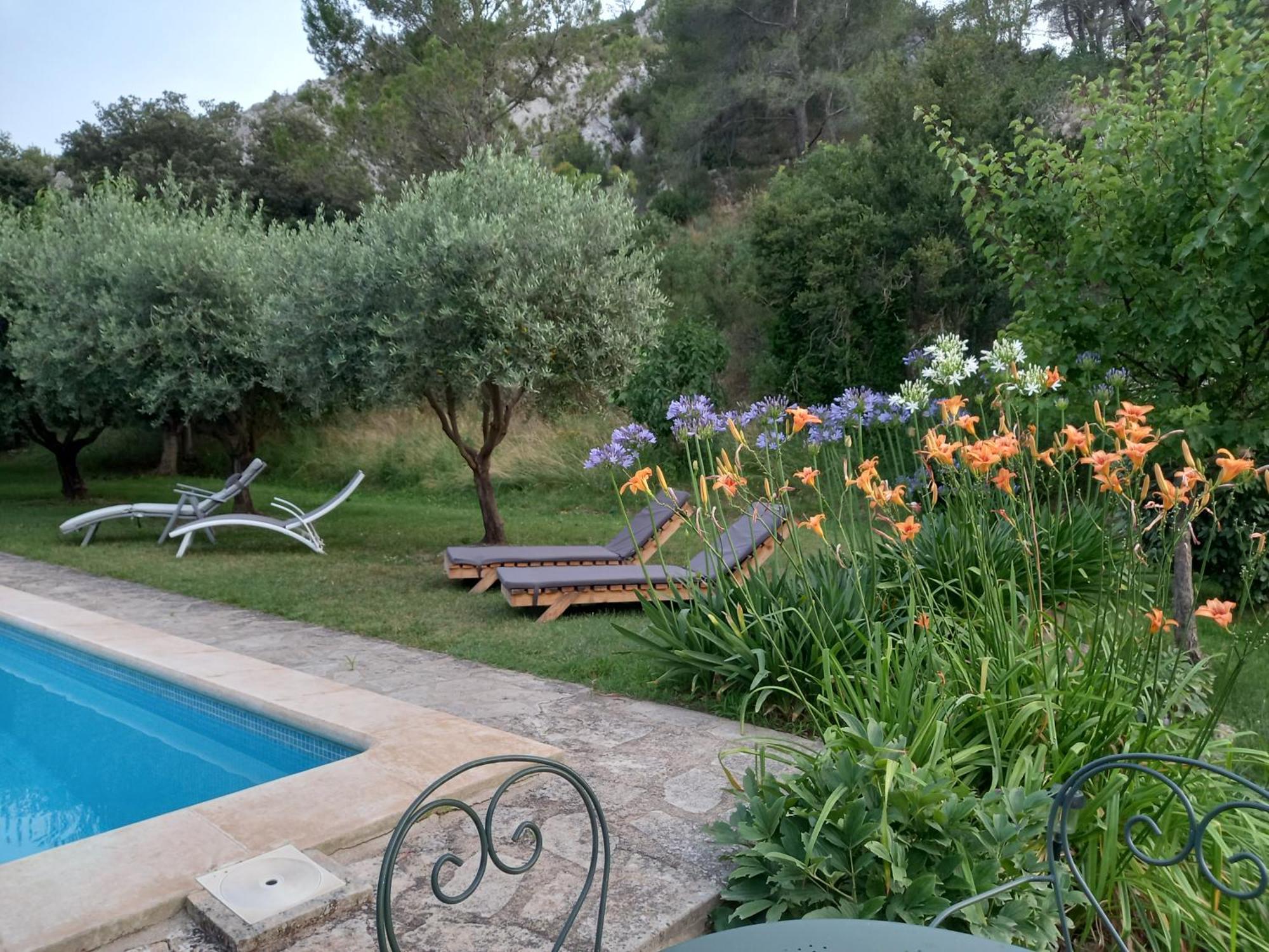 La Roulotte Du Petit Paradis Saint-Rémy-de-Provence المظهر الخارجي الصورة