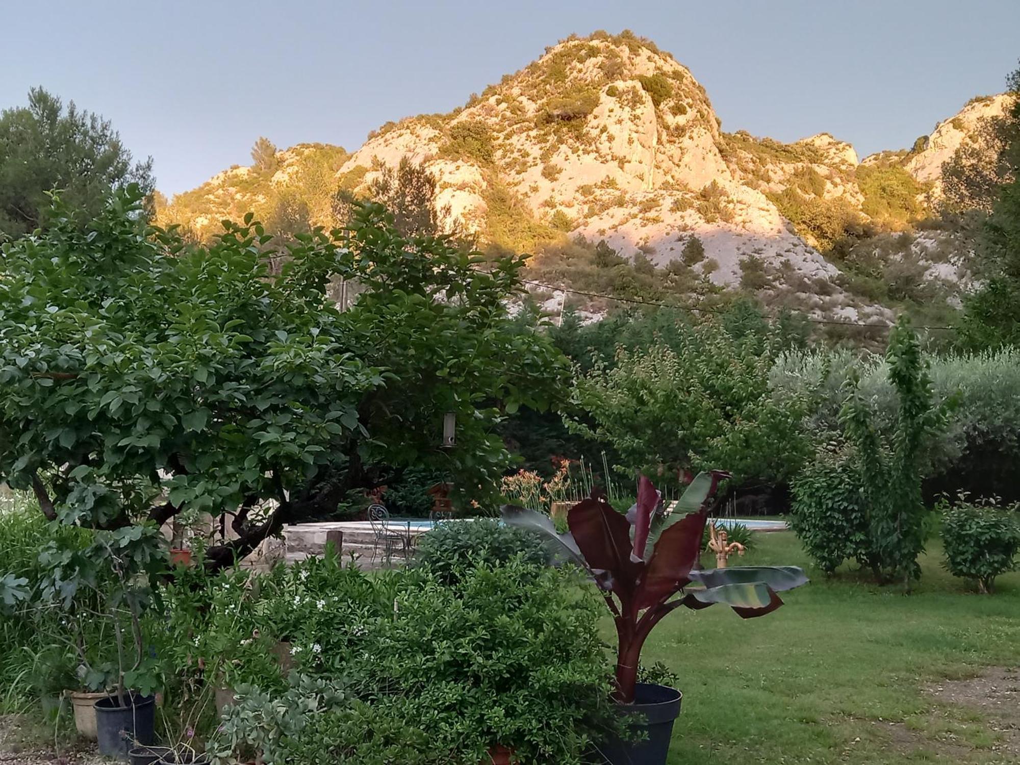 La Roulotte Du Petit Paradis Saint-Rémy-de-Provence المظهر الخارجي الصورة