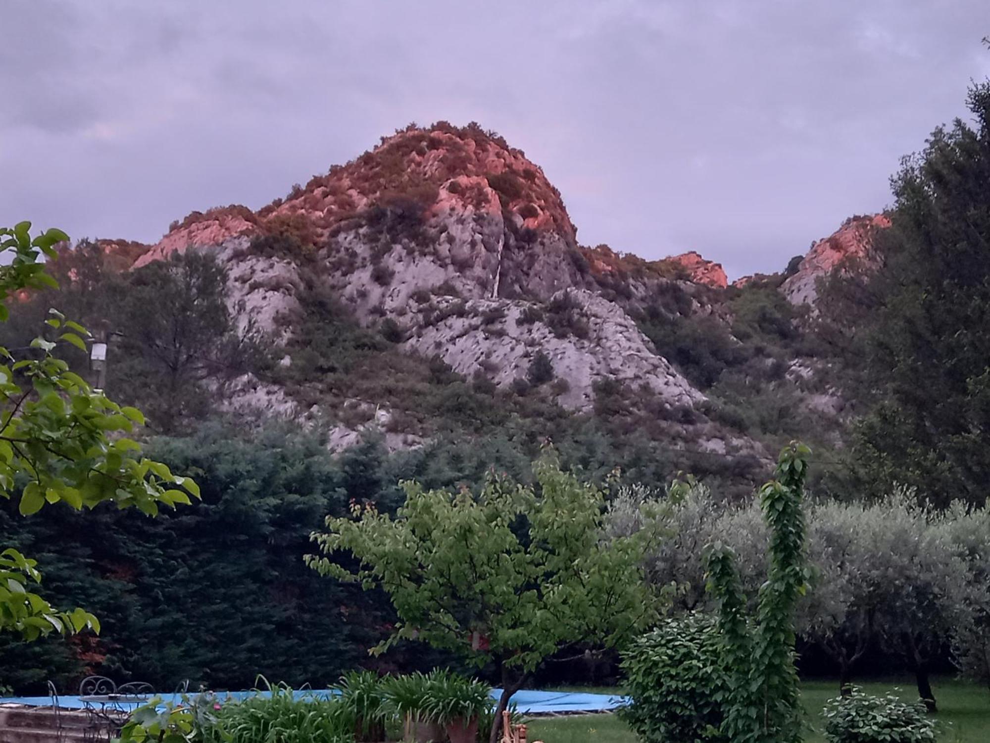La Roulotte Du Petit Paradis Saint-Rémy-de-Provence المظهر الخارجي الصورة