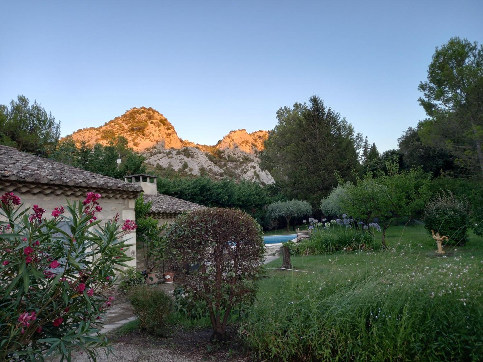 La Roulotte Du Petit Paradis Saint-Rémy-de-Provence المظهر الخارجي الصورة