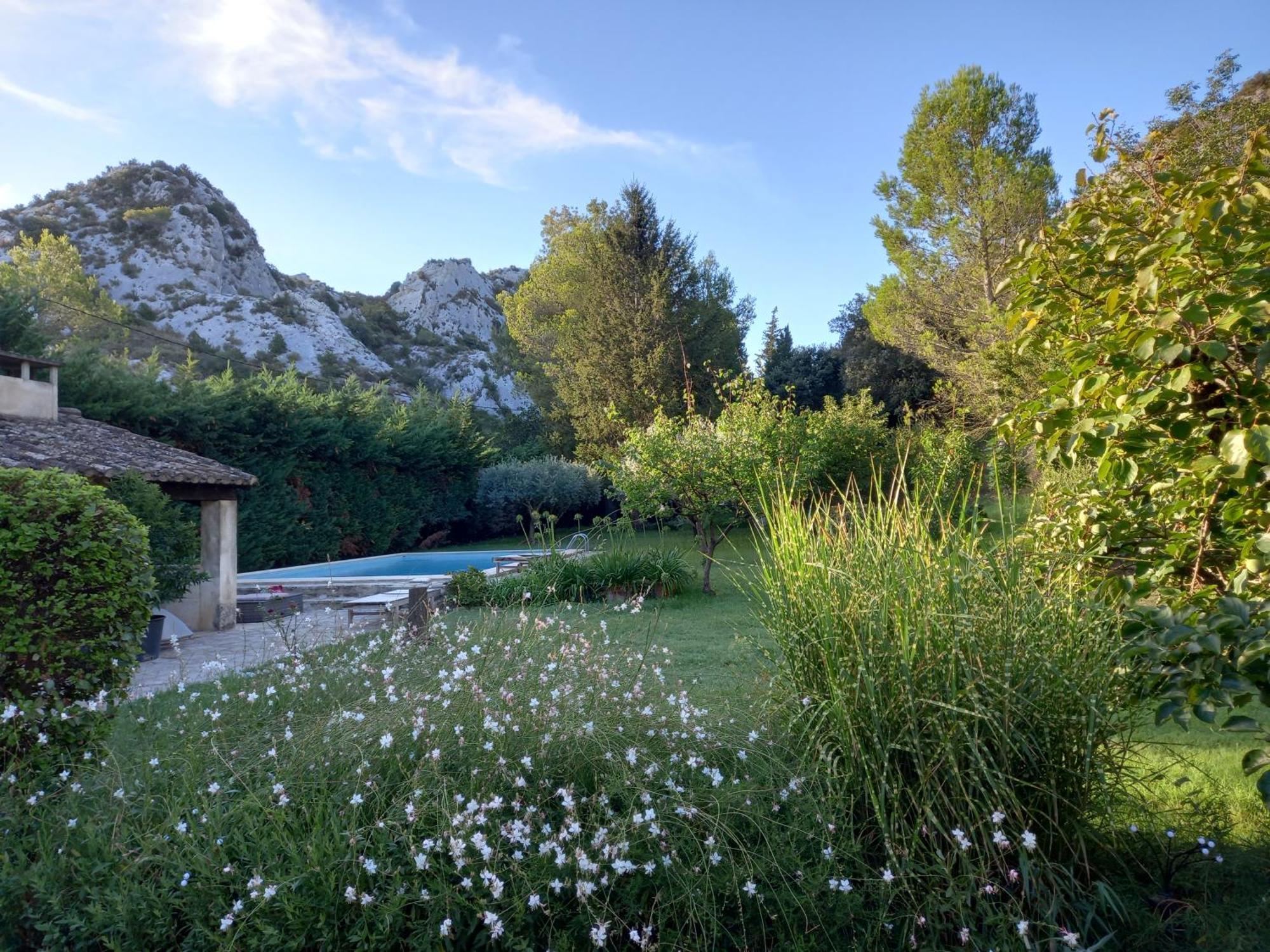 La Roulotte Du Petit Paradis Saint-Rémy-de-Provence المظهر الخارجي الصورة