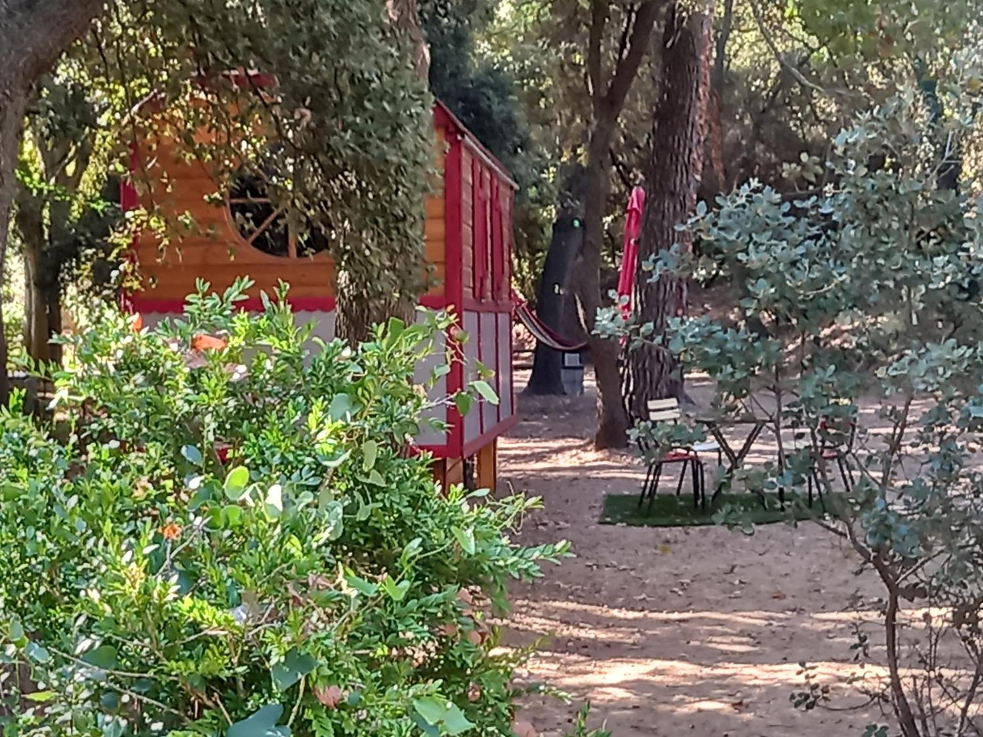 La Roulotte Du Petit Paradis Saint-Rémy-de-Provence المظهر الخارجي الصورة