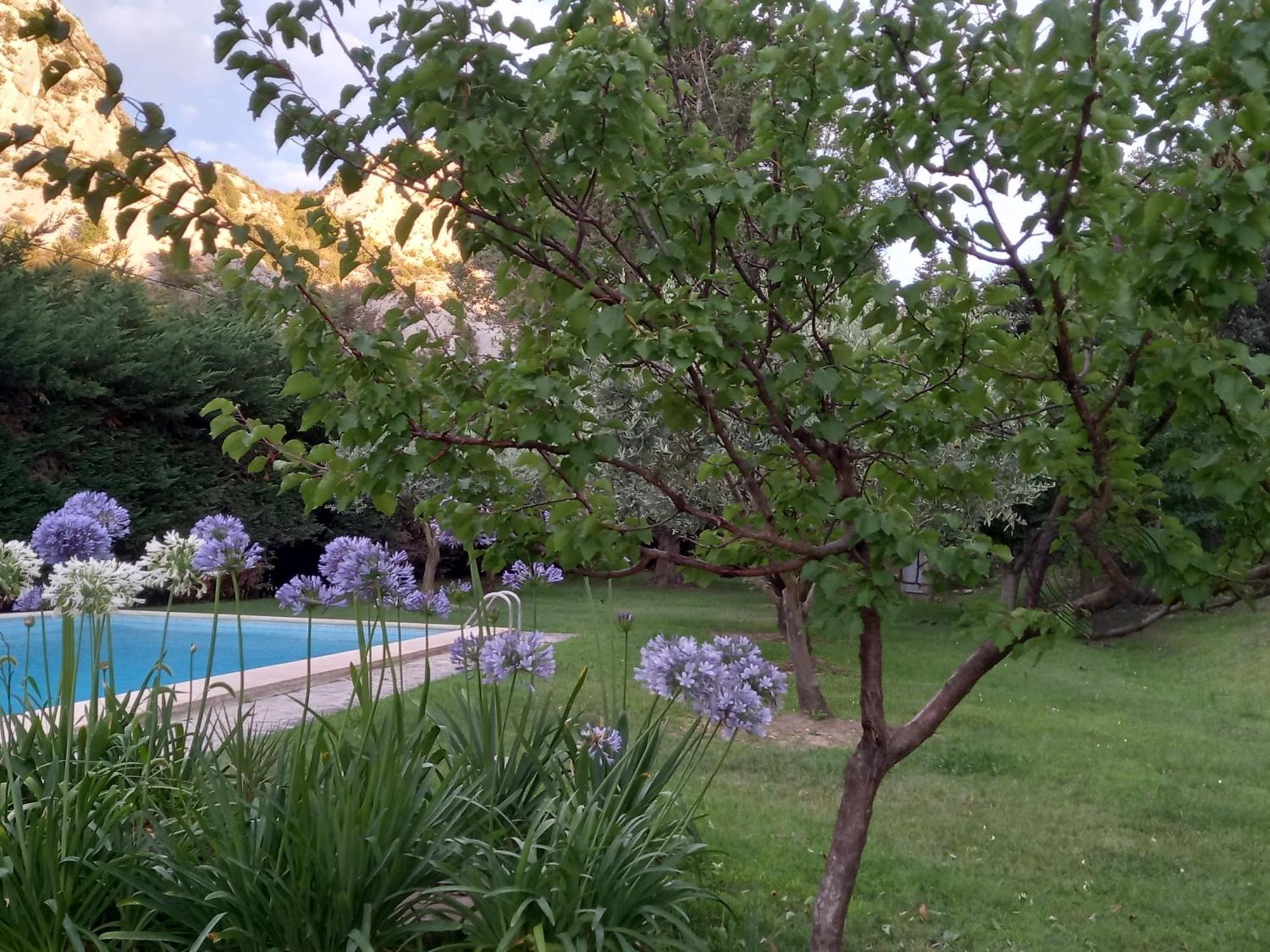 La Roulotte Du Petit Paradis Saint-Rémy-de-Provence المظهر الخارجي الصورة